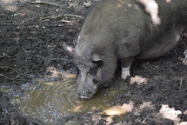 并用出色的 并用出色的