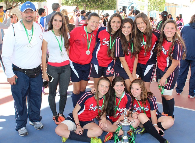 重要来源之 重要来源之